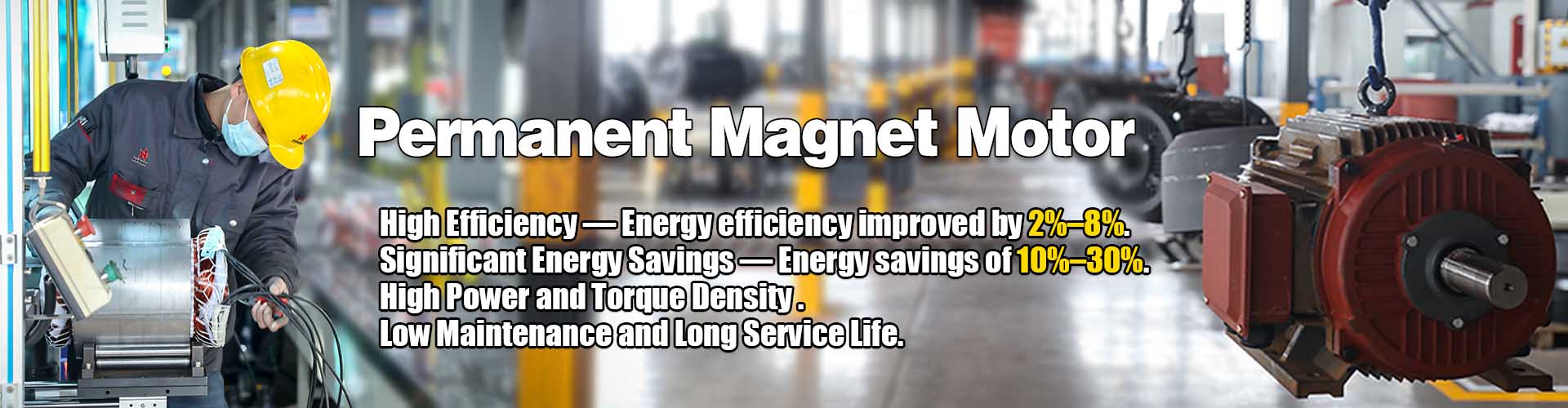 permanent magnet motor