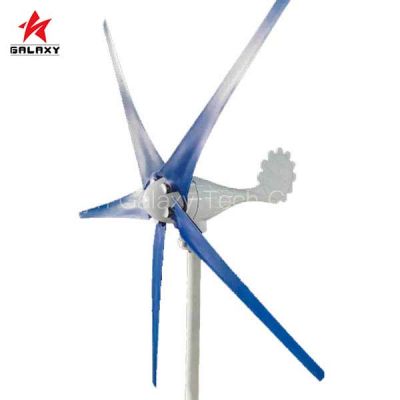 Domestic Mini Wind Power,Micro Wind Turbine for Home Use