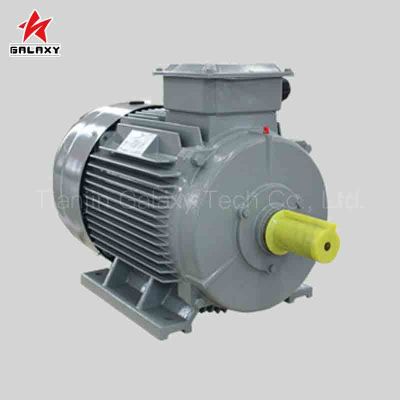 ac motor,electric motor,electrical motor,permanent magnet motor,synchronous motor