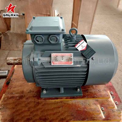 ac motor,brushless motor,electric motor,electrical motor,permanent magnet motor,synchronous motor